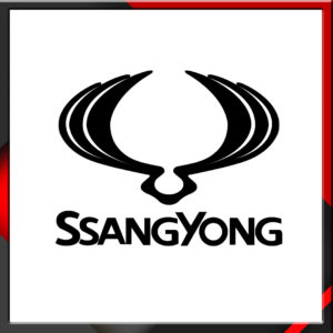 Ssang Yong