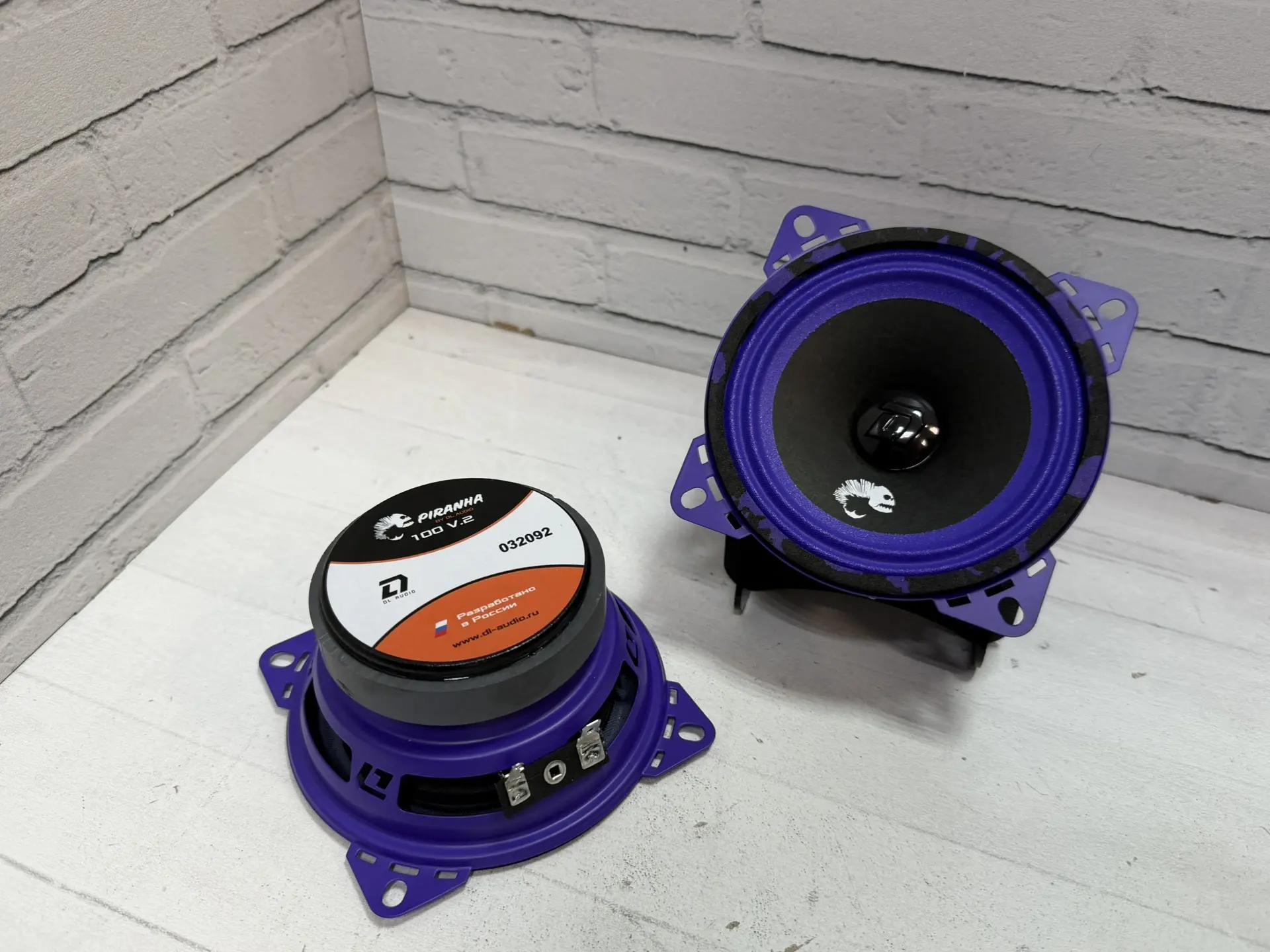 Эстрадная акустика DL Audio Piranha 100 V.2